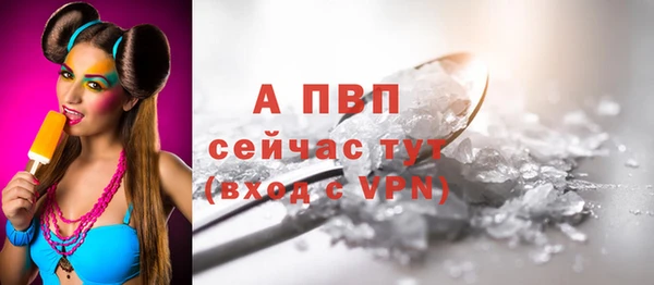 индика Нягань