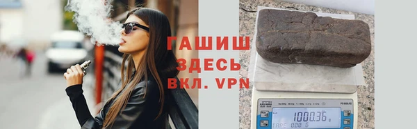 индика Нягань