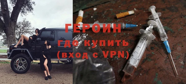 индика Нягань
