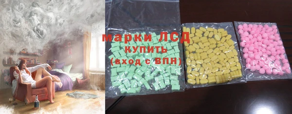 индика Нягань