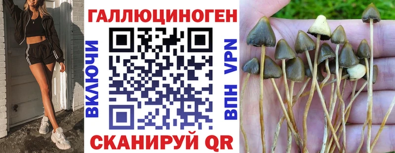 Галлюциногенные грибы MAGIC MUSHROOMS  KRAKEN tor  Камешково  хочу наркоту 